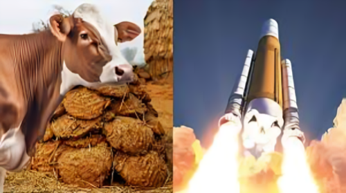 Picture of Japan launches rocket fueled by cow dung