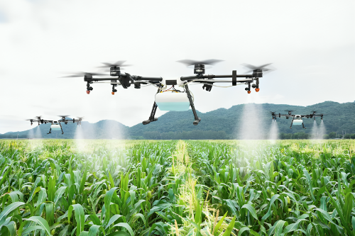 Picture of Now women will fly drones! Women trained in use of drone technology in natural farming