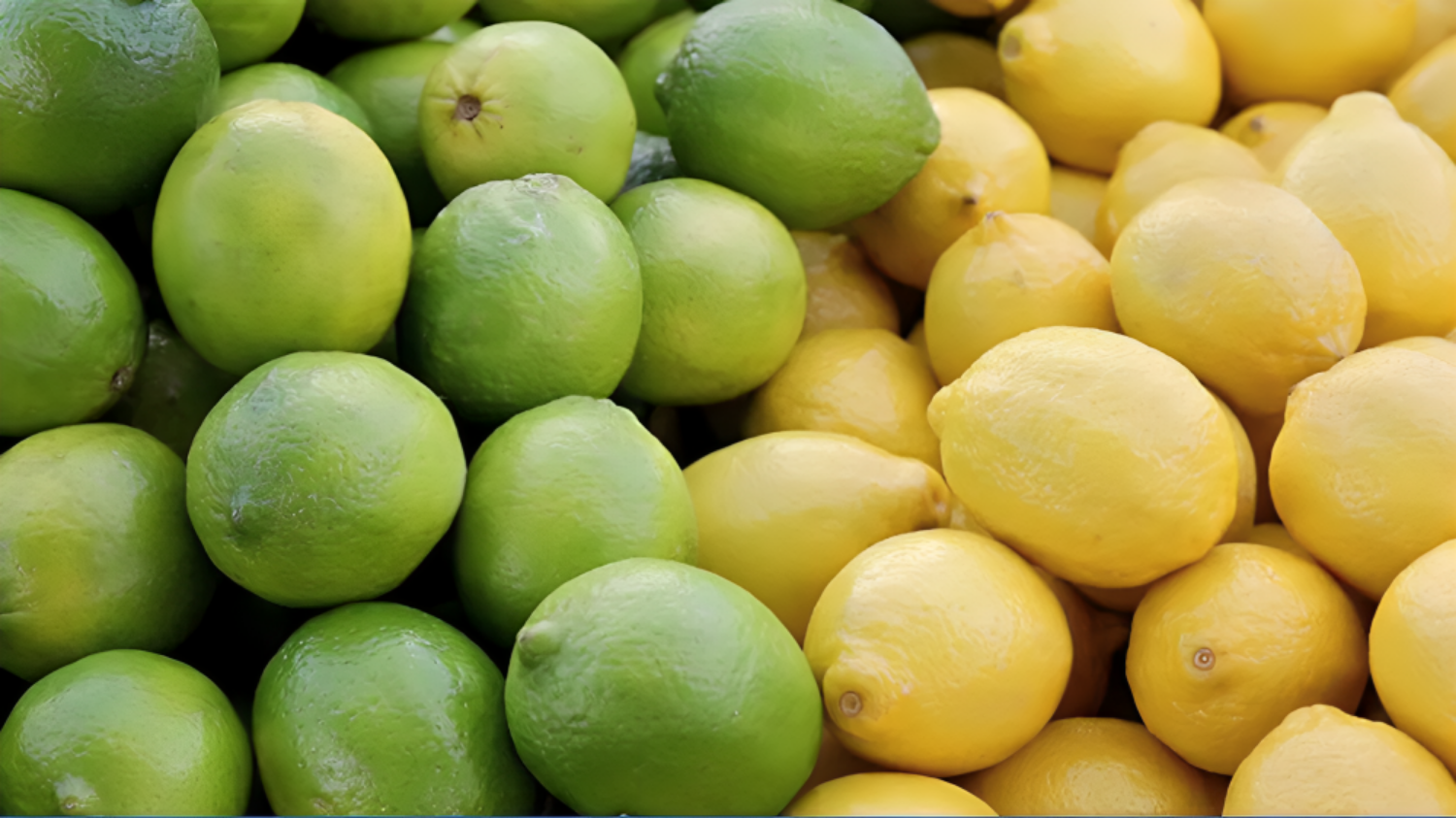 Picture of Even before the start of the hot season, the prices of lemons have turned 'sour', because of this jump, know