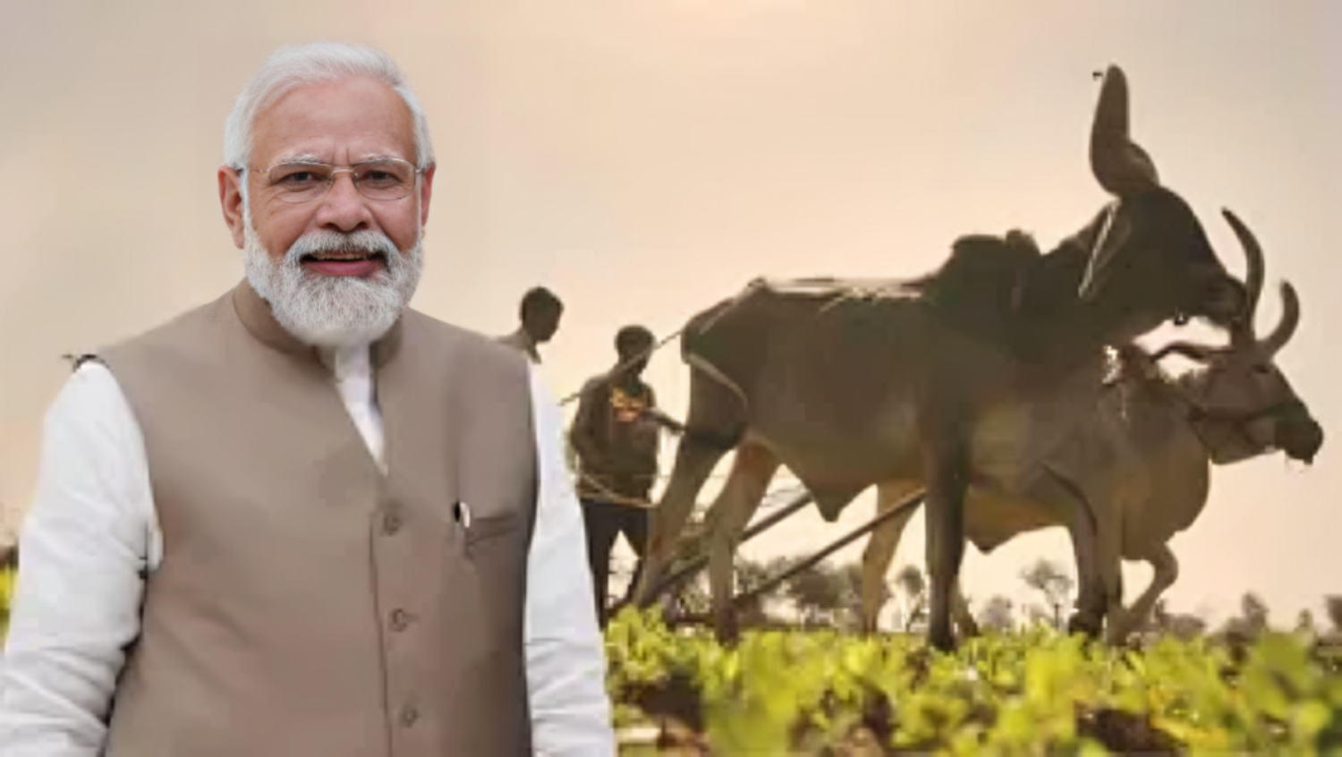 Picture of Livestock insurance scheme PM Modi mentioned in GCMMF program, know who can benefit