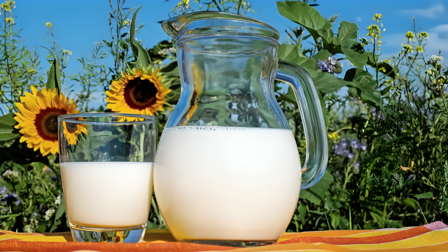 Picture of Is goat milk more beneficial than cow milk? Find out which milk has more nutrients
