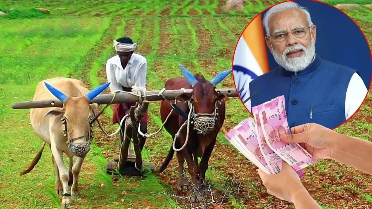 Picture of PM Kisan 16th Installment: The wait is over, the 16th installment of PM Kisan is coming today.