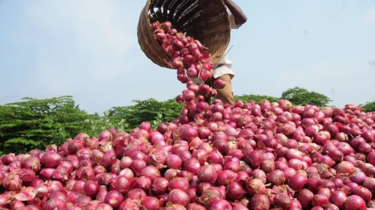 Farmers' income will increase... Now onions will go from India to Bhutan and Mauritius की तस्वीर