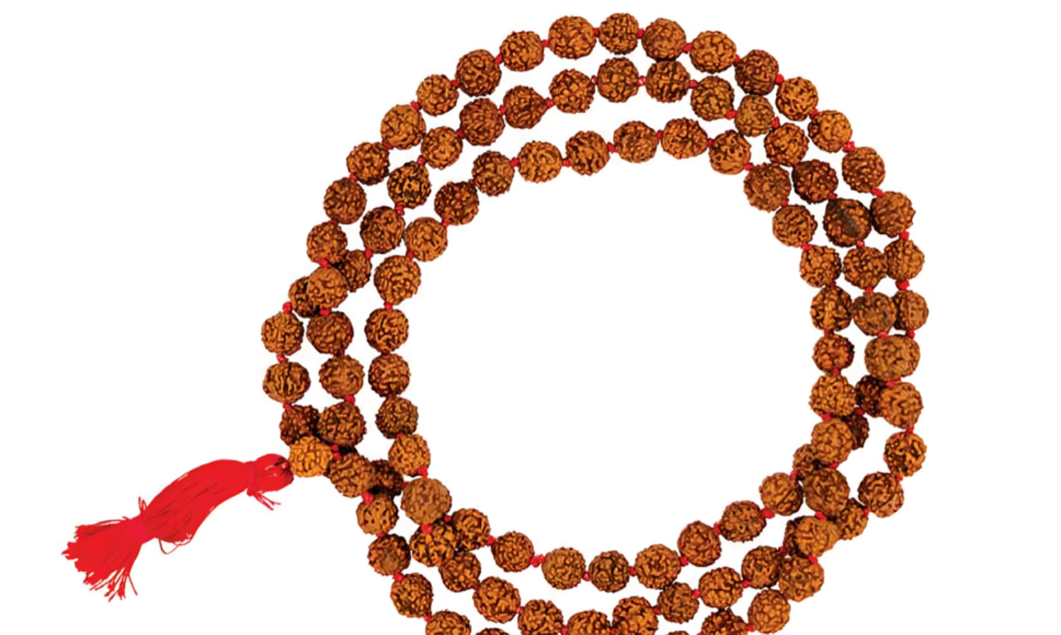 By wearing Rudraksha on Shivratri these wishes are fulfilled, read the significance of each Rudraksha की तस्वीर