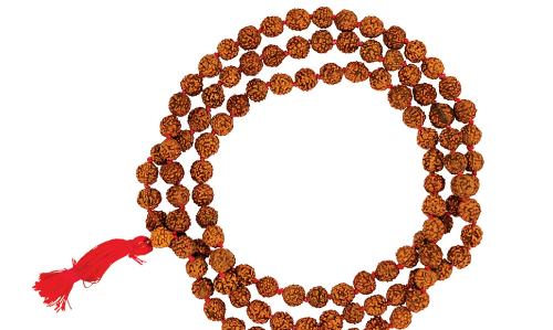 Picture of By wearing Rudraksha on Shivratri these wishes are fulfilled, read the significance of each Rudraksha