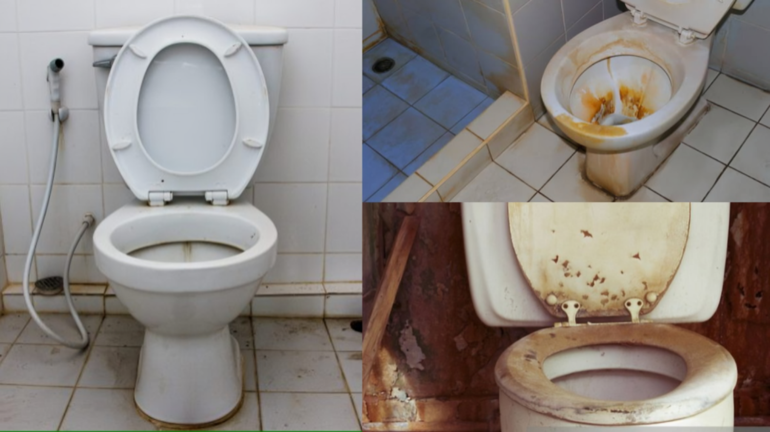 Have you ever put ENO in the toilet seat? Know what happens after inserting ENO की तस्वीर