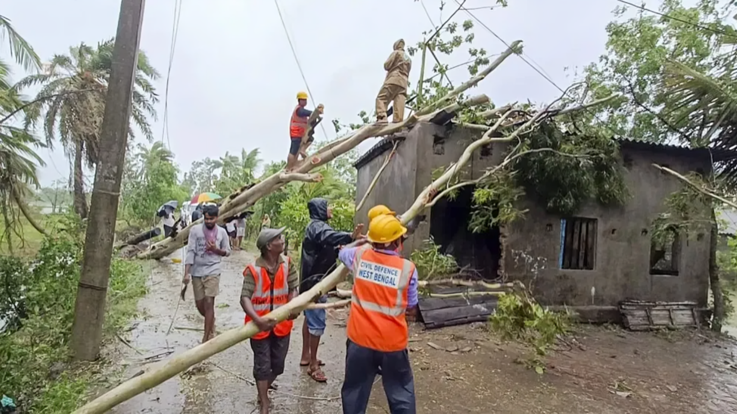 Picture of Cyclone 'Ramal' wreaks havoc in Bengal, 6 dead so far, more than 29 thousand houses collapsed