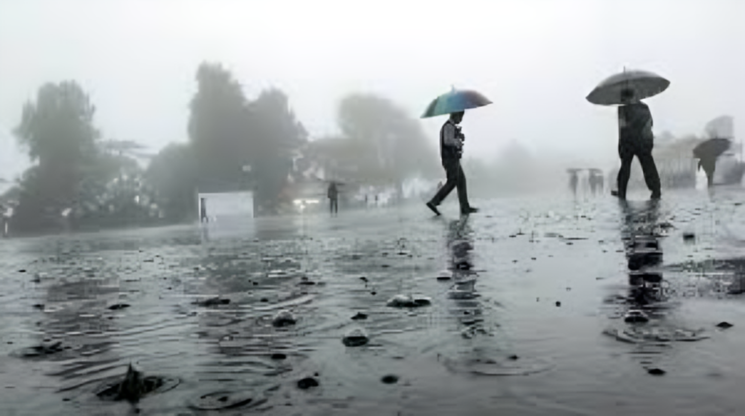 Picture of Heavy rain and thunderstorm likely in some states of India in next 24 hours, know more information