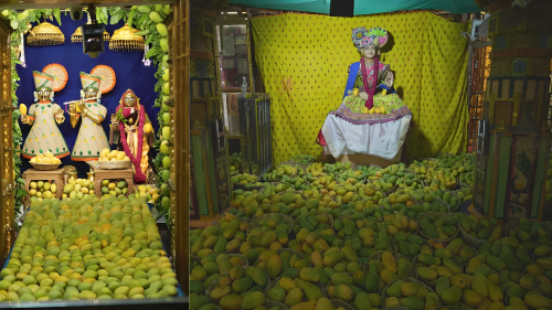 Picture of Amrotsav near Vadtal, 10,000 kg of mango food for the gods, see picture